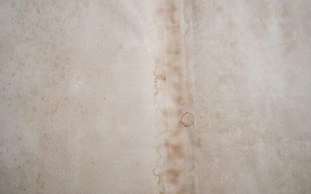 Patching Things Up with Your Roof