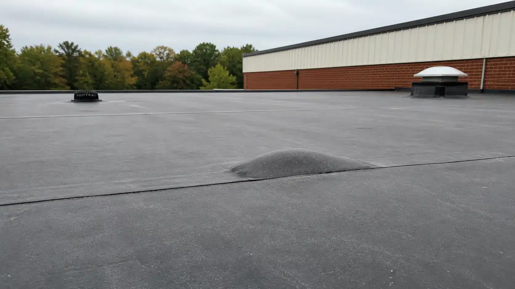 Commercial Roofing